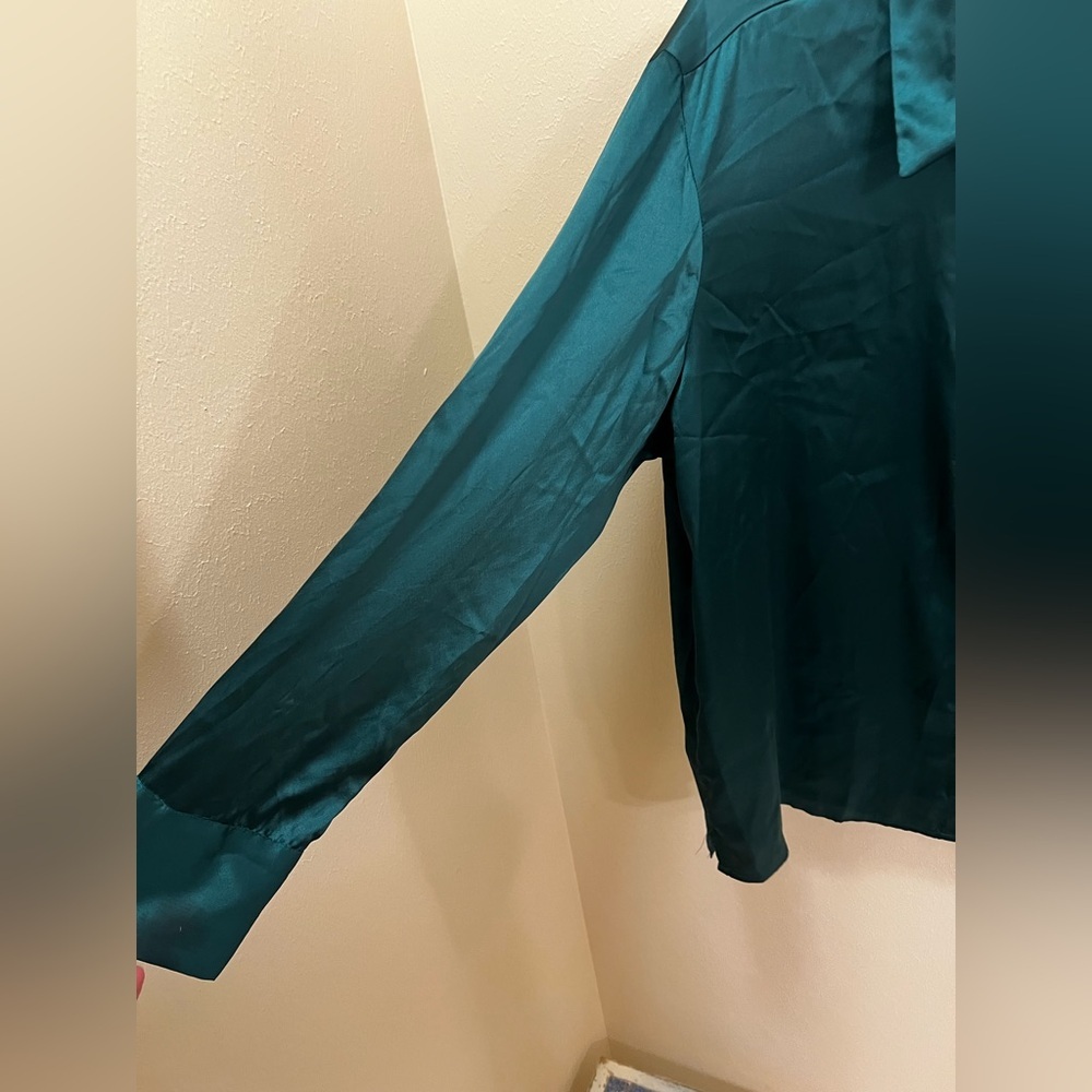 Abercrombie & Fitch Green Satin Button-Down Shirt - Picture 3 of 7